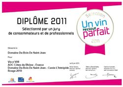 Diploma Intrépide 2010 Domaine du Bois de Saint Jean